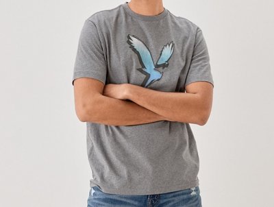 現貨 2XL 大尺碼 老鷹LOGO短T 美式復古個性短袖T恤 灰色 美版 AMERICAN EAGLE