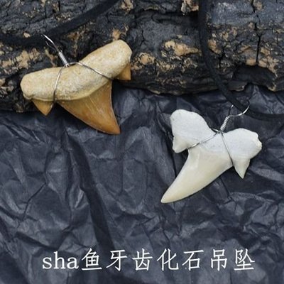 天然耳齒鯊魚牙齒化石古生物化石原石標本個性復古手工牙飾品吊墜凌雲閣化石隕石 促銷