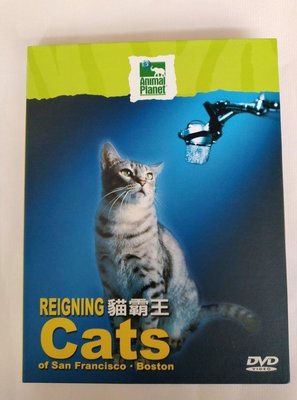 【鳳姐嚴選二手唱片】 動物星球DVD：貓霸王 REIGNING CATS OF SAN FRANCISCO。BOSTON