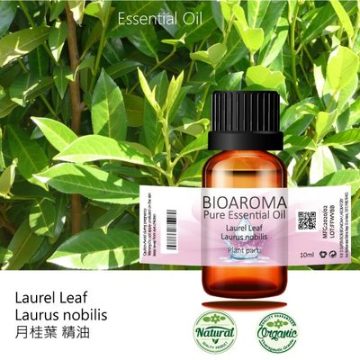 【芳香療網】月桂葉精油Laurel Leaf - Laurus nobilis  10ml