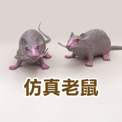 【飛兒】《仿真老鼠》嚇人 整人 道具 米奇 萬聖節 塑膠模型 動物模型 假耗子 惡搞道具 玩具