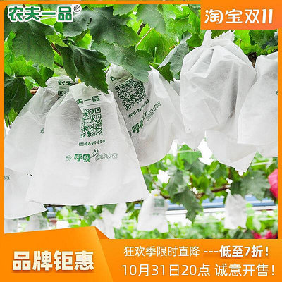現貨 廠家直銷陽光玫瑰葡萄專用套袋防鳥防果蠅白色枇杷石榴瓜果保護袋可開發票