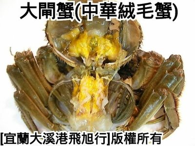 [正]台灣萬里大閘蟹