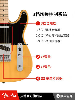 音箱設備Fender 芬德Squier Affinity系列Telecaster電吉他 芬達音響配件