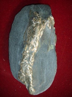 龍紋石。　台灣金龍。　(6.7 * 12.3cm)