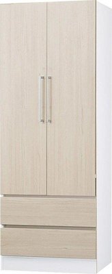 【風禾家具】HGS-450-6R@EML系統板羅漢松色2.8尺雙抽衣櫃【台中市區免運送到家】雙抽屜衣櫥 台灣製造傢俱
