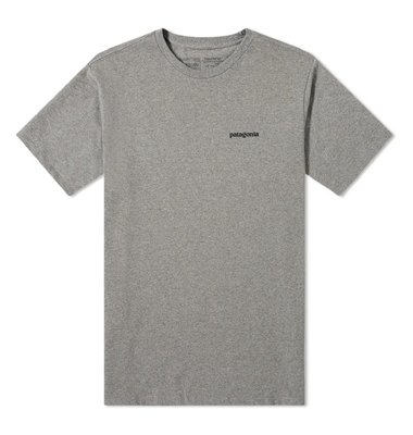 MERCI✰Patagonia P-6 Logo Tee 山景 山脈 短袖 短T T恤 T-shirt 現貨