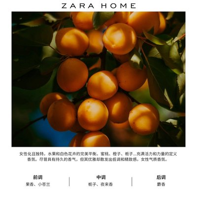 熱銷 Zara Home 純粹梔子花系列固體香氛香薰蠟燭禮物620g 41044705150