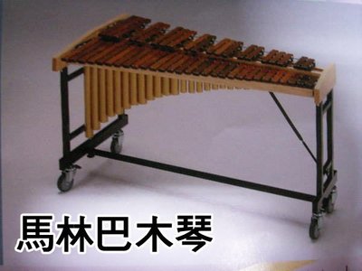 【 小樂器 】馬林巴木琴 鐵琴 立奏鐵琴 立奏木琴49鍵木琴