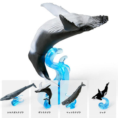 Hi 盛世百貨 [現貨]萬代扭蛋 生物大圖鑒 海洋生物5鯨魚 藍鯨抹香鯨座頭鯨虎鯨