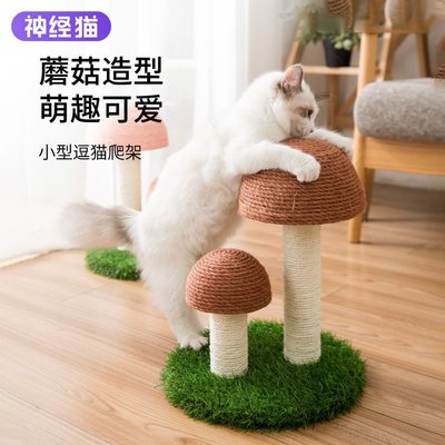 貓抓柱劍麻實木小型貓爬架貓窩貓樹一體貓抓板小貓咪玩具寵物用品