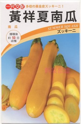 【野菜部屋~】K45 黃祥夏南瓜種子 2 粒 , 櫛瓜 ,泰國進口 , 生長旺盛 ,每包15元 ~