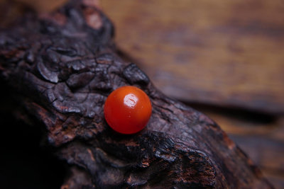 【二手】??超級紅的一紅玉髓 . 西亞 年，16543【愛收藏】古董 老貨 擺件