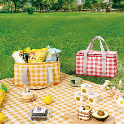 戶外野餐包加厚鋁膜折疊野餐籃手提便當袋露營防潮野餐墊收納餐包