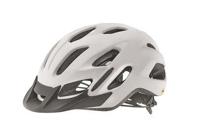 全新 公司貨 2020新品 捷安特 GIANT Liv LUTA MIPS 亞洲頭型自行車安全帽 女性專用