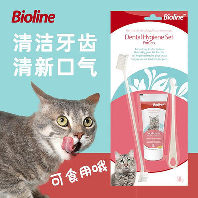 可食用貓牙刷牙膏套裝牙齒清潔用品除貓咪專用寵物刷牙神器小