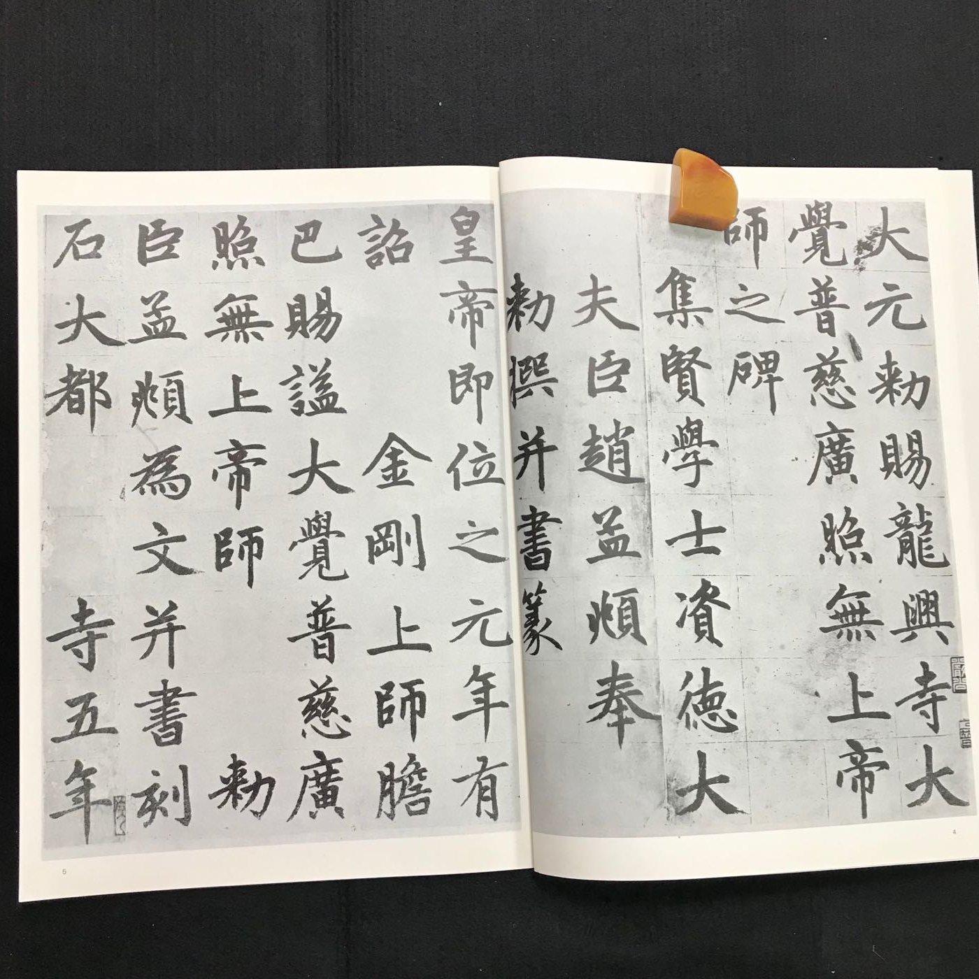 万葉集『志貴皇子の歌』 日展会友かな書道作家による書作品