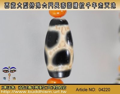 【殿津藏珠】西藏經典大型特殊六門長壽圖騰紋千年老天珠。超稀少真正西藏長壽珠款。04220