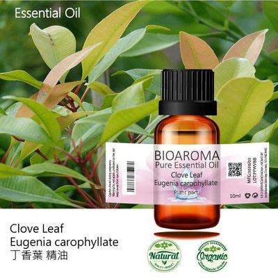 【芳香療網】Clove Bud - Syzygium aromaticum 丁香苞精油 10ml