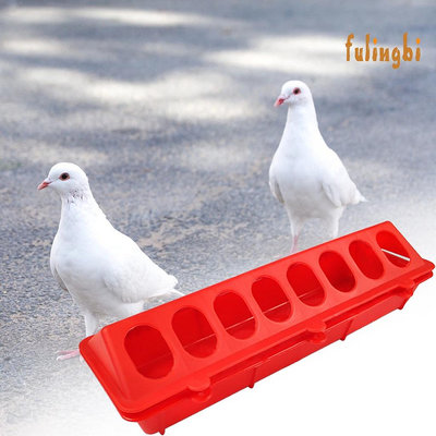 [FUI] 鳥食盒鴿子用品長條食槽信鴿自動餵食器塑膠加厚水壺餵雞器飲水器