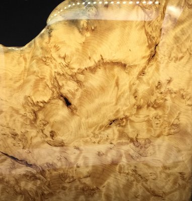 台灣黃檜 扁柏 捲絲帶鳳尾瘤板