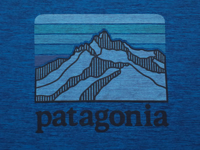 Patagonia 彈性/排汗/快乾 短袖運動T恤 (L) (一元起標 無底價)