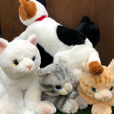 【誠誠小舖】日本進口 正版 動物 SUNLEMON 貓咪 膝蓋貓 虎斑 橘 灰 白 黑 三花 絨毛 玩偶 娃娃