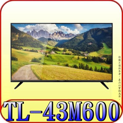 《三禾影》CHIMEI 奇美 TL-43M600 4K 液晶電視 內建愛奇藝 LiTV【另有TH-43JX650W】