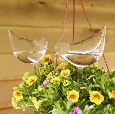 【熱賣下殺】跨境新品Self-Watering Plant Glass Bulbs園藝工具小鳥澆花器