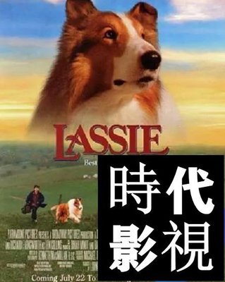 現貨直出 新靈犬萊西/Lassie  電影 1994年時代DVD碟片影視