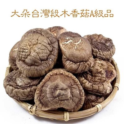 -大朵台灣段木香菇(一斤裝)A級品- 掛保證台灣本土產的原木香菇，菇味濃郁，送禮最高貴，附禮袋一只。