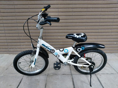 GIANT兒童腳踏車KJ182(630X01507)