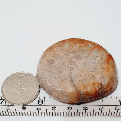珊瑚玉 75g 原礦 拋光 原石 礦石 M15Z 擺件 收藏 冥想石 手把件