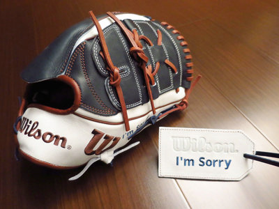 {圓圓小舖}全新美規日本製WILSON A2K custom glove 威爾森棒壘球手套特別訂做訂製訂作款 投手雙片擋