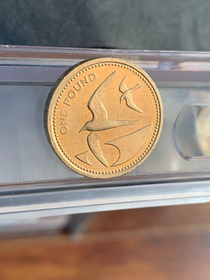 【二手】 少見，圣赫勒拿阿桑松1984年1鎊黑燕鷗銅幣146 紀念幣 錢幣 收藏【奇摩收藏】