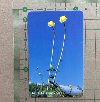 【卡庫】【植物】瑞典1996年，金蓮花  KSE6061