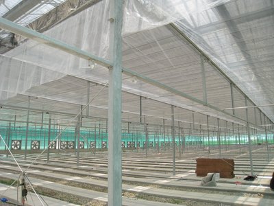 [嘉駒庭園] 日本PO高透溫室膜 厚度0.15mm、(依客戶需求裁切)、溫室膜、農膜、大棚膜、透明塑膠布、魚菜共生