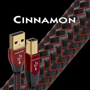 『岳冀音響』AudioQuest Cinnamon USB 0.75m 皇佳公司貨