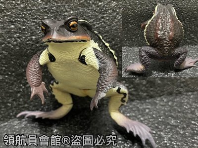 【領航員會館】單售IKIMON日本正版NTC圖鑑-巨型蟾蜍 黑色 扭蛋 公仔 癩蛤蟆 青蛙 牛蛙 動物模型 玩具 標本