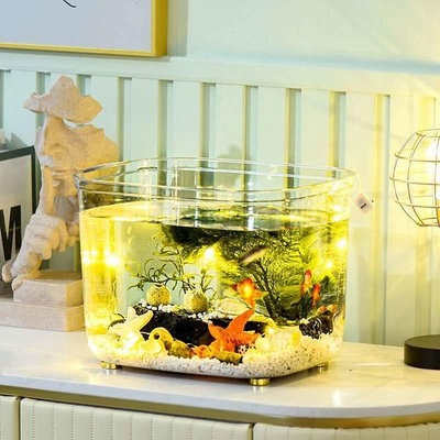 魚缸客廳小型迷你桌面養魚缸家用水族箱生態金魚缸家用烏龜缸