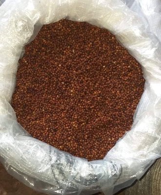 柬埔寨 貢布紅胡椒粒  200g 真空包裝 代購代買 胡椒粒