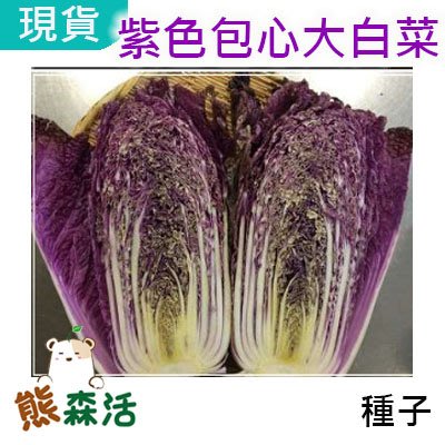 ～全館滿790免運～ 紫色包心大白菜種子 約5粒 【熊森活】