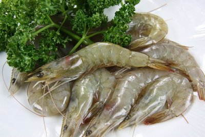 【冷凍蝦蟹類】活凍白蝦(60/70) /約 250g~殼薄新鮮~肉嫩味美~鮮甜便宜又好吃~