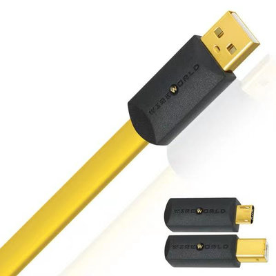 【賽門音響】Wireworld Chroma™ 8 USB 2.0 傳輸線《公司貨》