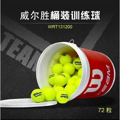 Wilson/威爾勝 網球 威爾遜訓練球 無壓練習球/WRT13600~特價