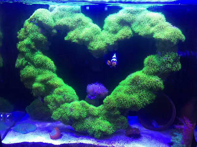 魚缸燈陽光幾何LED海缸珊瑚燈藻缸燈補光燈水草燈全光譜魚缸吊燈水族