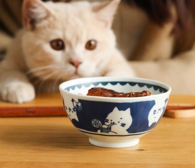 日式吃飯貓米飯碗  米飯碗 藍色 白色 小貓咪 喵星人  貓咪餐具 陶瓷碗 清倉特賣 特價【小雜貨】