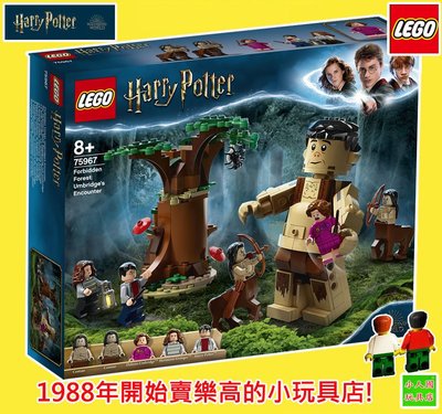 LEGO 75967 禁忌森林 Harry Potter哈利波特 原價1299元 樂高公司貨 永和小人國玩具店