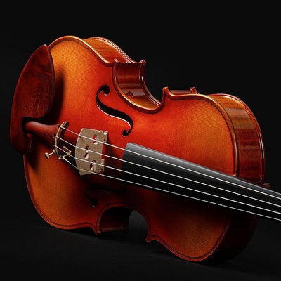 極致優品 【新品推薦】Christina克莉絲蒂娜小提琴進口歐料手工考級演奏S100D-1小提琴 YP751