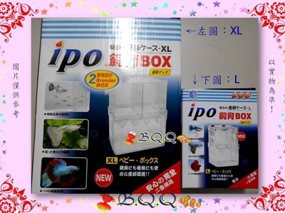[B.Q.Q小舖]IPO 飼育繁殖盒(XL) /自浮式多功能產卵盒.隔離盒.飼育盒(如遇缺貨改出ISTA同款)